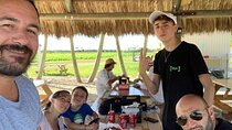 Miami Half Day Private Car Tour With A Guide (Private Tour)