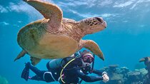 Miami Two Tank Dive Trip