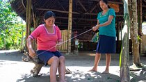 2 Days All Inclusive Napo Amazon Tour from Baños de Agua Santa