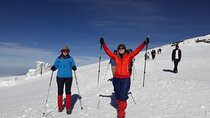 Private Climbing Tour to Kilimanjaro Machame Route