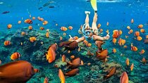 Nusa Penida Trip with Snorkeling all-Inclusive