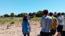 Madrid Wine Tour: Visit Two Wineries with Tastings