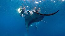 PRIVATE Nusa Penida on Boat Snorkeling & Island Tour (INCLUSIVE)