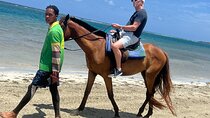 Horse back riding Dunnsriver falls swim from Montego Bay