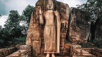 All-Inclusive Private tour in Sri Lankan Island 9 Day HB hotels