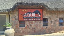 Wildlife Safari in Aquila Game Reserve, Cape Town