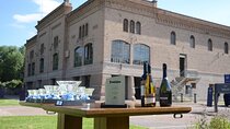 Private Tour to the Trapiche Winery from Mendoza