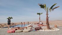 Agafay Camel Ride with Moroccan Lunch and Pool Access