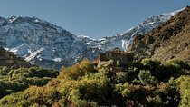 Day Trip to Imlil Valley from Marrakech Guided Tour