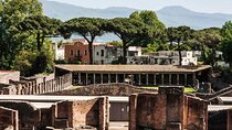 Pompeii & Bosco de' Medici Winery Skip the line from Sorrento 