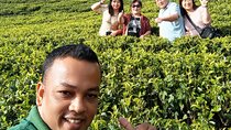 Multi Day Round Private Tour in Sri Lanka