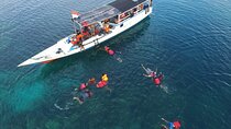 Private Snorkeling and Island Hopping Tour in Karimunjawa 
