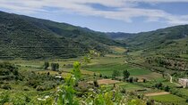 Berat 4x4 Off-Road and Vineyard Wine Tasting