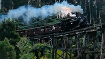 Puffing Billy and Phillip Island Day Tour(Melbourne Chinese Tour)