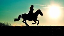 Horse Ride in Agadir & Options at Sunset & Barbecue with Couscous