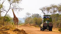 2 Days Akagera National Park Wildlife Safari