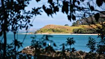 Full day Auckland Tour from Coast to City with Exclusive Pick up