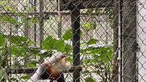 2 Day Private Tour in Tam Coc–Cuc Phuong-Van Long Nature Reserve