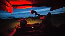 5-day Night safari adventure across iconic Lake Manyara, Crater 
