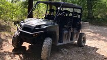 Chianti Wild Safari Adventure through Tuscan Vineyards