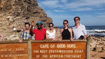 Half day Cape of good Hope, penguins from cape Town sharing group