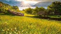 Exclusive Panoramic Train Journey though the Heart of Swiss