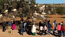 Private Guided Essaouira Day Tour