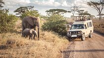 4 Day Safari to Serengeti Ngorongoro Tarangire