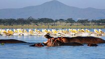 21Days Best of Kenya and Tanzania Mt Kilimanjaro Hike Diani Beach