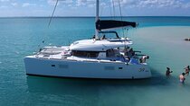 Private Luxury Catamaran Tour to Stingray City and Snorkel 