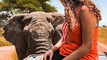 3 Days Safari Tarangire and Ngorongoro Crater