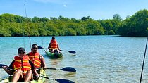 Kayak Rental in Langosta 