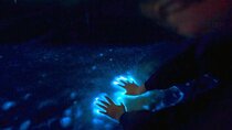 Private Sunset and Bioluminescence Tours in Cocoa Beach