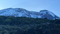 One Kilimanjaro Day hike Tour ISMANI TOURS AND SAFARIS