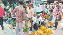 Guided Walking Tour of Ghats and Galis of Varanasi by VLT