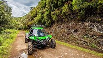 Off-road Buggy Safari in Crete with a Guide