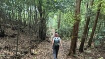 Hiking in Fushimi Inari and its 10,000 Gates