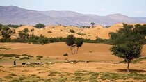Immersive Mongolian Gobi experience, Camel, Cousine, Stargaze, 2D