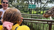 3 Days Private Maasai Mara Safari