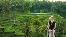 Ubud Private Tour: Waterfall, Rice Terrace, Monkey Forest, Temple
