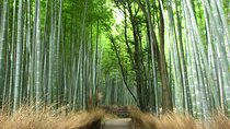 Kyoto Bus Tour: Arashiyama, Kinkaku-ji, Fushimiinari Shrine 【BF】