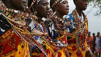 Nairobi National Park, Giraffe and Bomas Cultural Dance Show