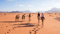 1 Night Private Jordan Sky Tour from Amman Hotel