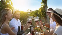 Tuscany: Chianti Semi-Private Wine Tasting and Dinner in Vineyard