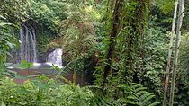 Jungle Trekking With Jatiluwih Unesco Heritage Site in Tabanan
