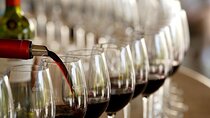 Escape to the Maipo Valley wine tour from Santiago