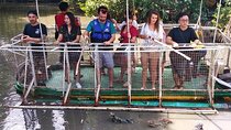 Luxury and Comfort Can Gio Mangrove Forest Tour