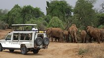 6 Days Samburu Sweetwaters, Lake Nakuru and Lake Naivasha Tour