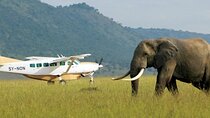 8Days Best of Kenya Wildlife Flying Safari 