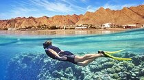 Egypt Desert and Sea Escape Tour